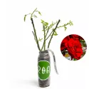 Ruže floribunda Red