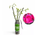 Ruže čajevke Pink