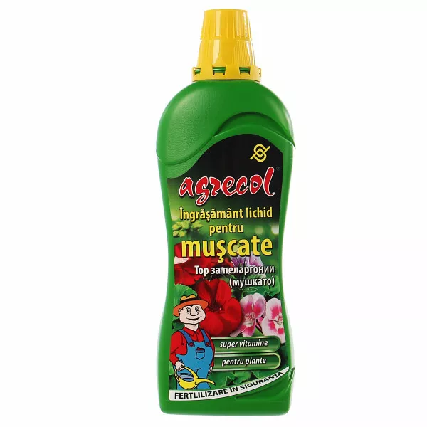 Tekuće gnojivo za pelargonije