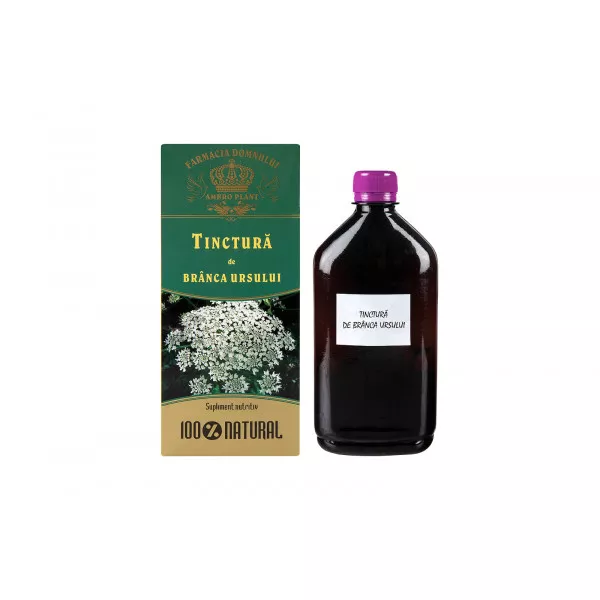Tinktura od medvjeđe šape