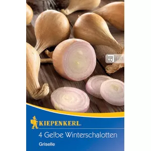 Luk sadni ljutika zimska Griselle