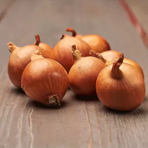 Lukovice luka šalotke Golden Gourmet