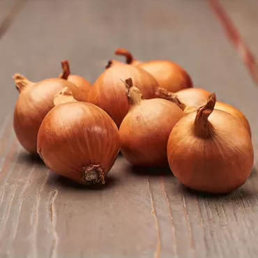 Lukovice luka šalotke Golden Gourmet