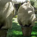 Vreća od prirodne jute 80×60 cm – zaštita biljaka zimi, ekološka višekratna ambalaža