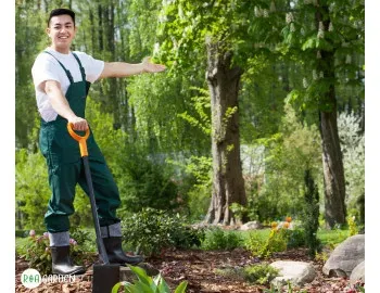 Je li vaš vrt u sjeni? Saznajte koje biljke uspijevaju u takvim uvjetima. Rješenja za svaki kutak zaboravljen od sunca.