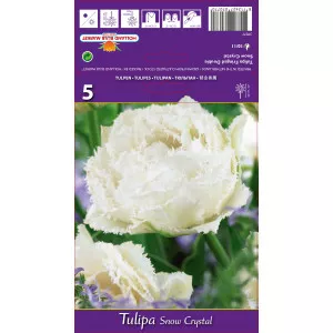 Resasti tulipani Snow Crystal