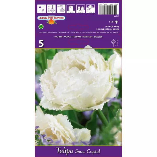 Resasti tulipani Snow Crystal