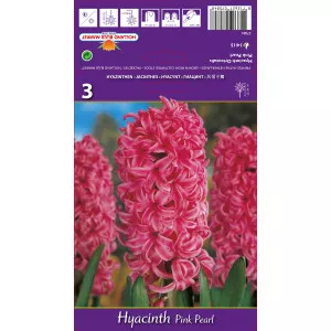 Zumbuli Pink Pearl