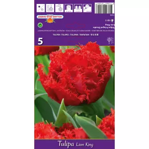 Resasti tulipani Lion King