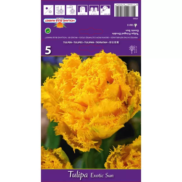 Resasti tulipani Exotic Sun