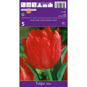 Dupli tulipani (puni) Abba