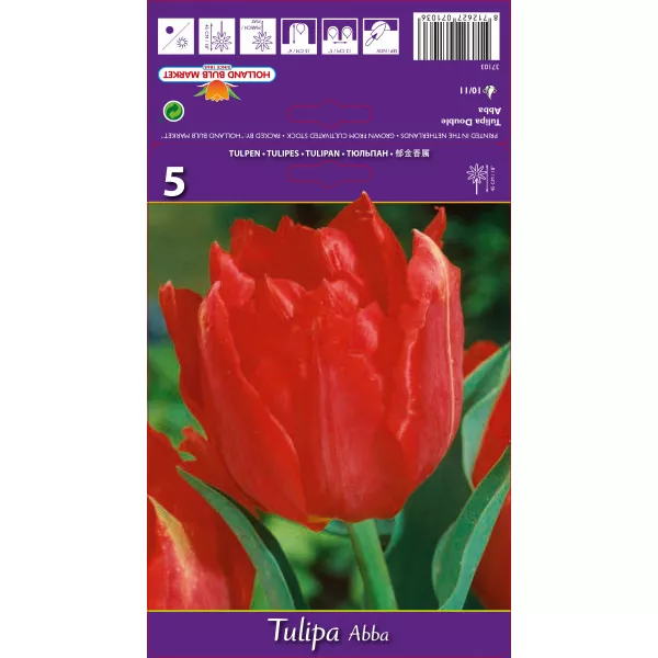 Dupli tulipani (puni) Abba