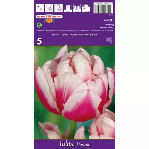 Dupli tulipani (puni) Horizon