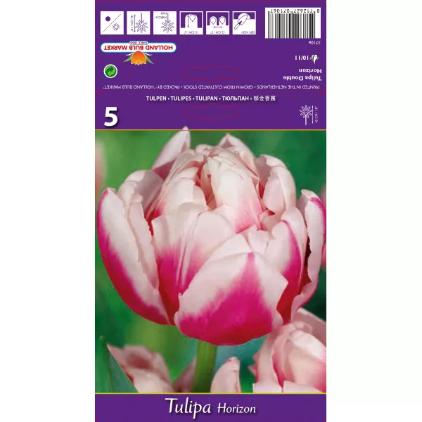 Dupli tulipani (puni) Horizon