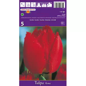 Resasti tulipani Arma