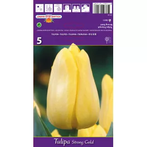 Tulipani Triumph Stronggold