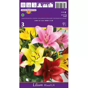 Azijski ljiljan dugocvjetni (LA) mix multicolor