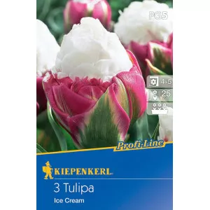 Tulipan Ice Cream