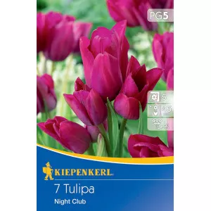 Tulipan Night Club