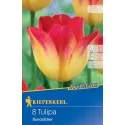 Tulipan Suncatcher