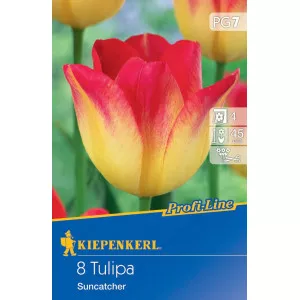 Tulipan Suncatcher