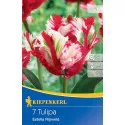 Tulipan Estella Rijnveld