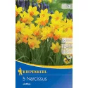 Narcis Jetfire