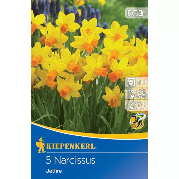 Narcis Jetfire