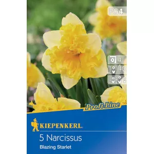 Narcis Blazing Starlet