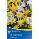 Narcise patuljaste mix multicolor