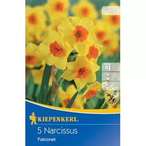 Narcis Falconet