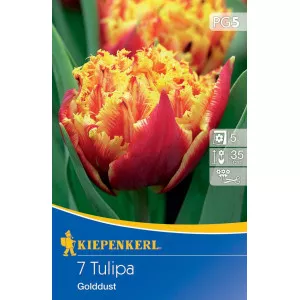 Tulipan Golddust – proljetne cvjetne lukovice