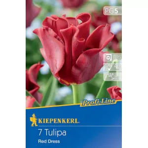 Tulipan Red Dress