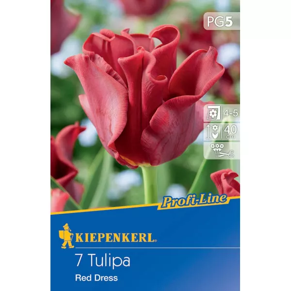 Tulipan Red Dress