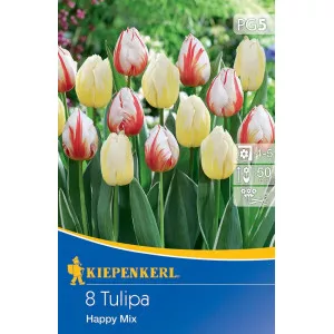 Tulipan Happy mix