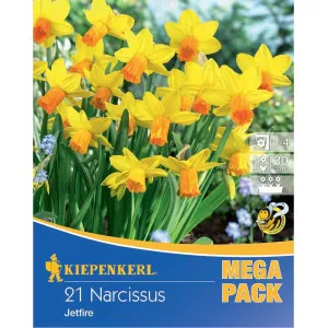 Mega Pack Narcis Jetfire