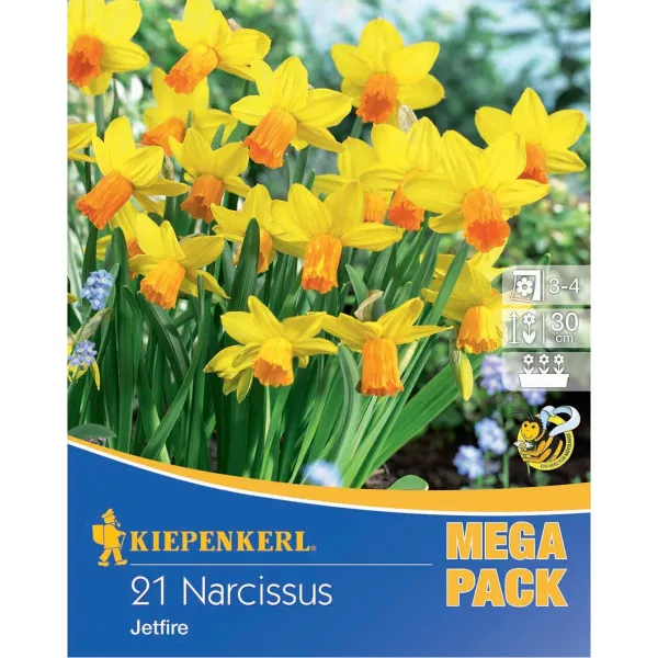 Mega Pack Narcis Jetfire