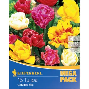 Mega Pack Tulipan mix multicolor