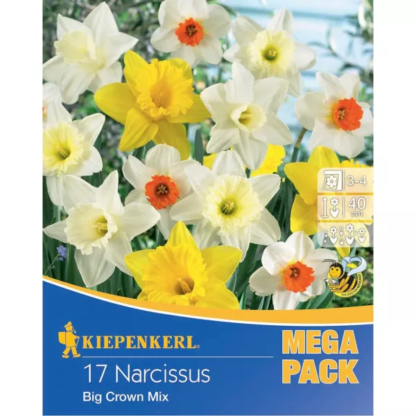 Mega Pack Narcis Giant Crown mix multicolor
