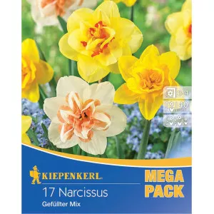Mega Pack Narcis Double mix multicolor