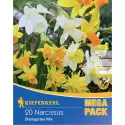 Mega Pack Narcis Rock Garden mix multicolor