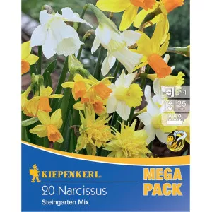 Mega Pack Narcis Rock Garden mix multicolor