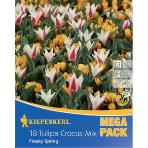Mega Pack Šafran Freaky Spring mix multicolor