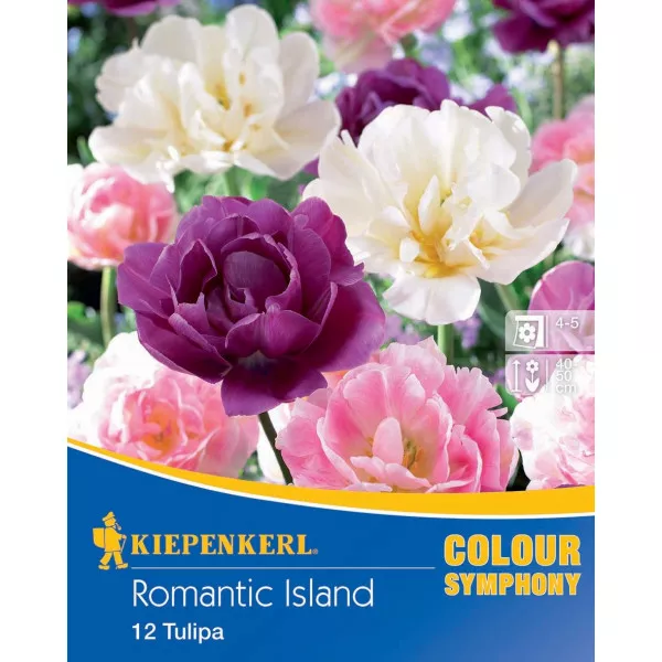 Cvjetne lukovice Romantic Island