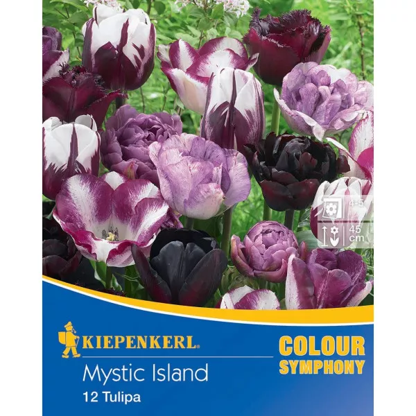 Cvjetne lukovice Mystic Island