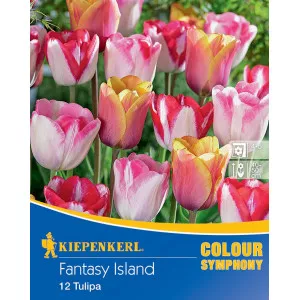 Cvjetne lukovice Fantasy Island