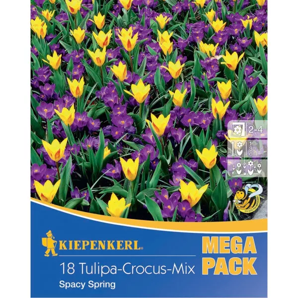 Mega Pack Šafran Spacy Spring mix multicolor