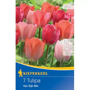 Tulipan Van Eijk mix