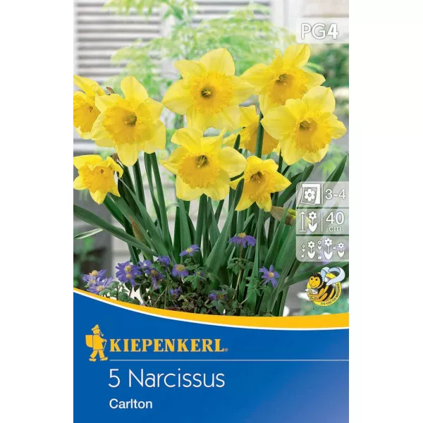 Narcis Carlton
