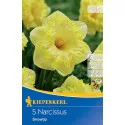 Narcis Snowtip
